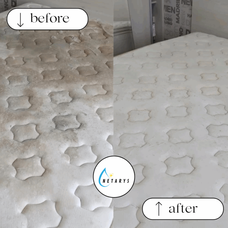 535676115_3274781482662468_8552967783386574697_n